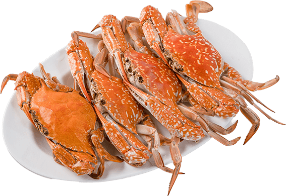 IMG_6952_0003_ปู-min